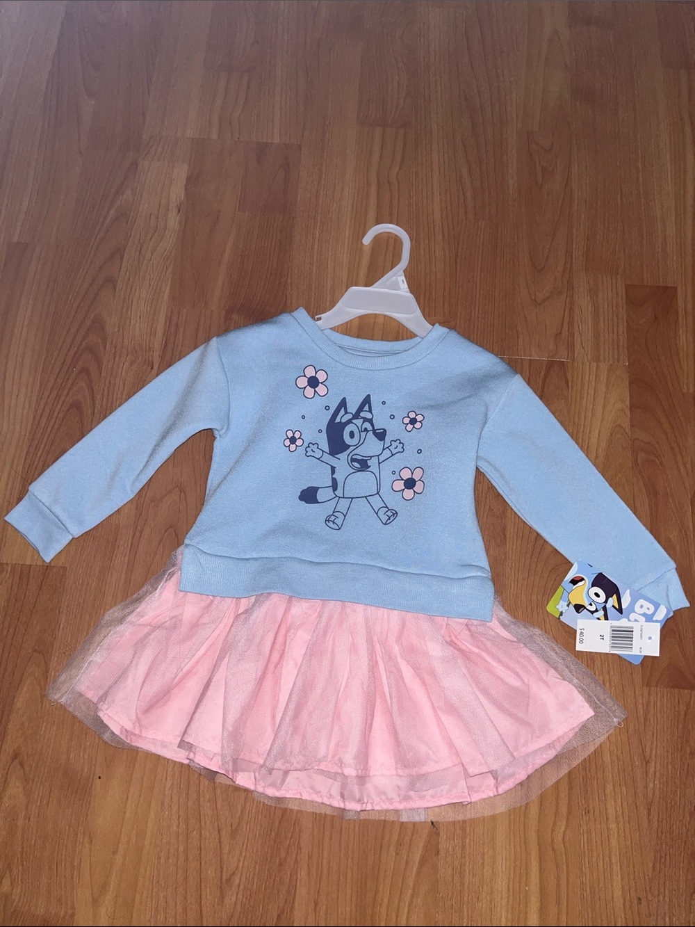 Bluey Cartoon Sweatshirt Top with Pink Tulle Skirt Dress